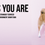 Screenshot 2024 12 06 At 9.05.27 AM 150x150